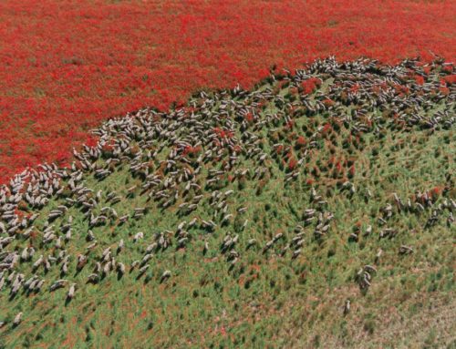 Nexodos, cultura y periferia en colectivo | Gerardo López